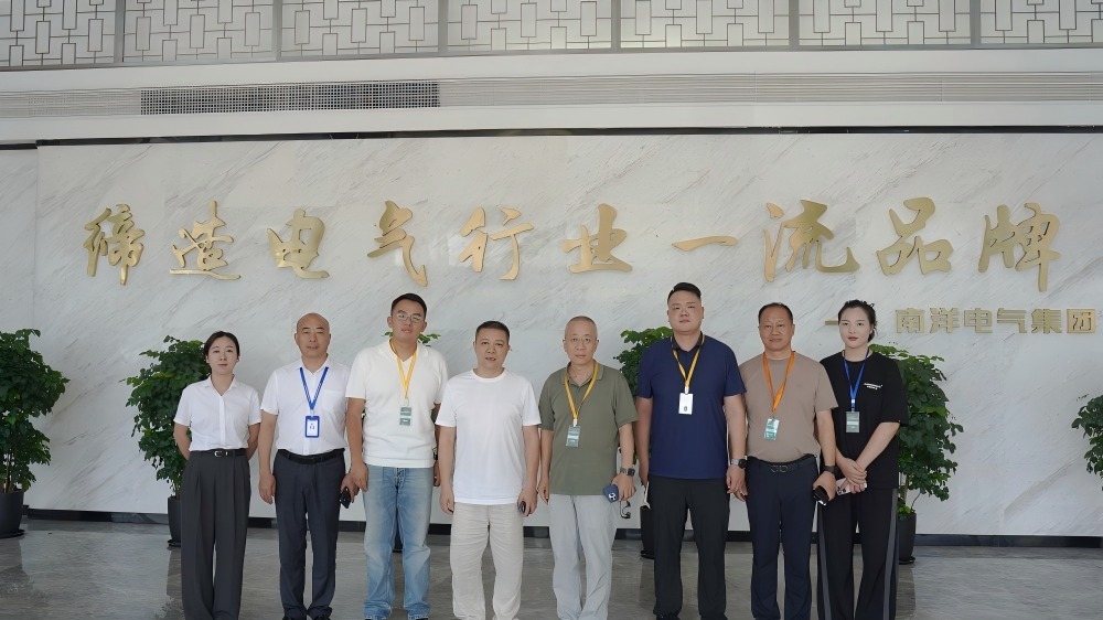 南洋電氣集團與樂清新能源專家團共探技術(shù)賦能新路徑